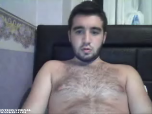 bear